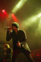  Foto: Gerald Langer